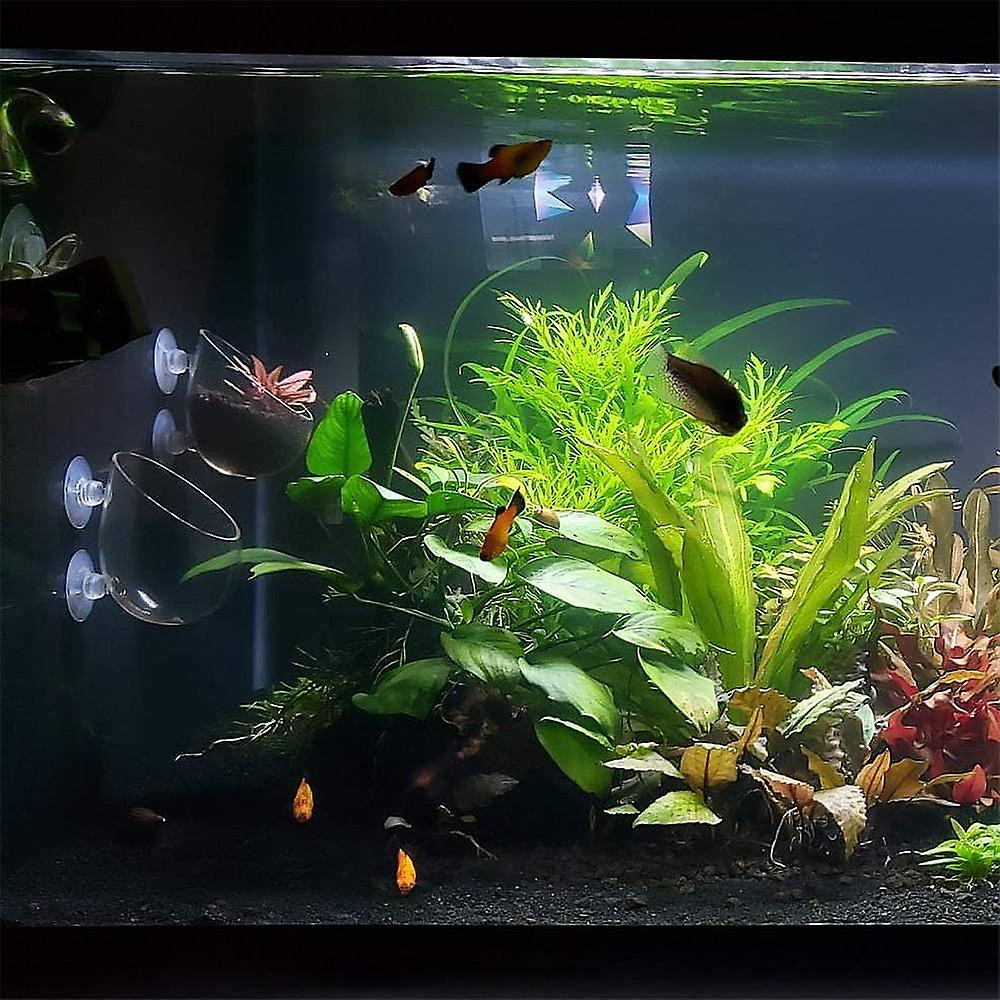 Fish Aquarium Tank